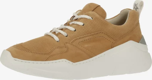 Paul Green Baskets Détentes Baskets Basses Femme Noisette 5 Paul Green Baskets Détentes Baskets Basses Femme Noisette -Paul Green Magasin De Vente 1eb1c232251acd7e68fbfef79d27d015