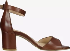 Paul Green Sandales à Talons Sandales à Lanières Femme Marron 10 Paul Green Sandales à Talons Sandales à Lanières Femme Marron -Paul Green Magasin De Vente 5531b37700ba72d3cc12faec8c5fc546