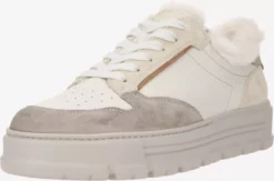 Paul Green Baskets Détentes Baskets Basses Femme Pierre / Gris Clair